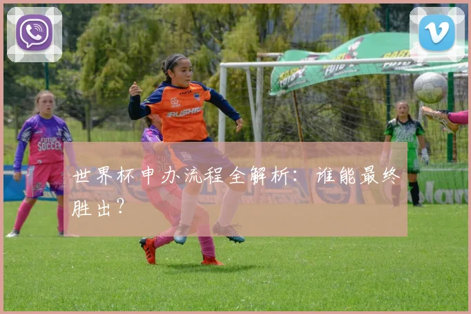 世界杯申办流程全解析：谁能最终胜出？